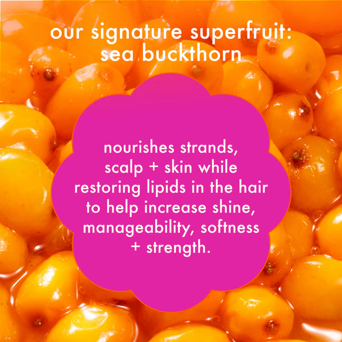 amika: supernova
moisture + shine hair cream leave-in cream weightlessly provides superior hydration and lightweight-conditioning, leaving hair supernaturally soft and smooth with brilliant shine